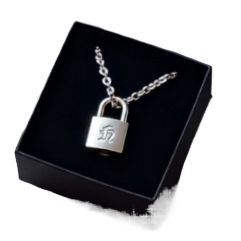 Smooth Matte Finish Metal Lock – Vintage Fashion Necklace recenzja i cena